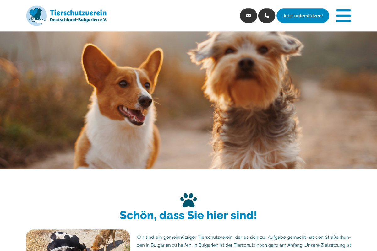 Tierschutz Deutschland und Bulgarien e.V.